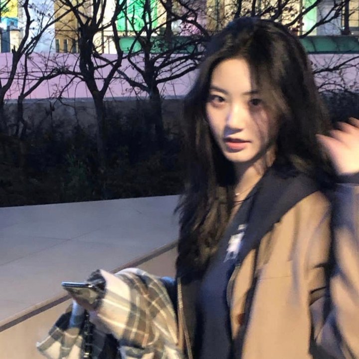 美女与猎犬 在线观看